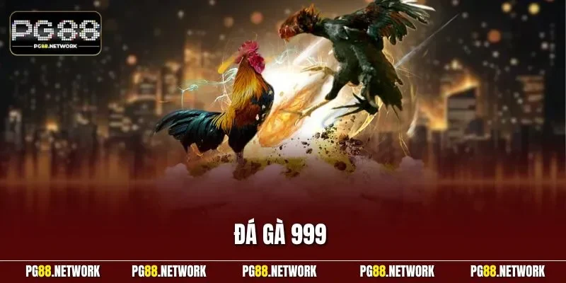 Đá gà 999