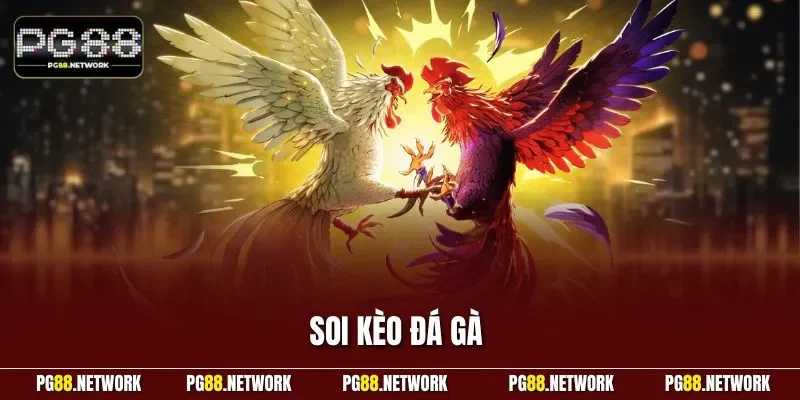 Soi kèo đá gà